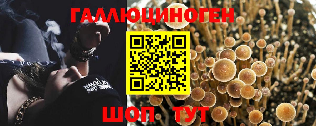 Галлюциногенные грибы Magic Shrooms Сочи