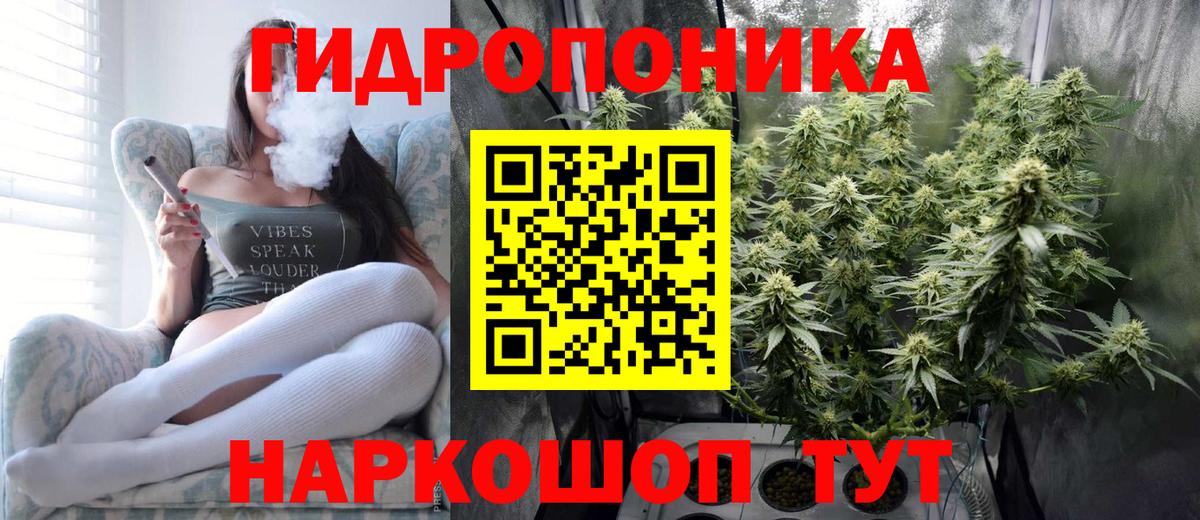 Каннабис SATIVA & INDICA Сочи